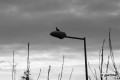 sentinelle